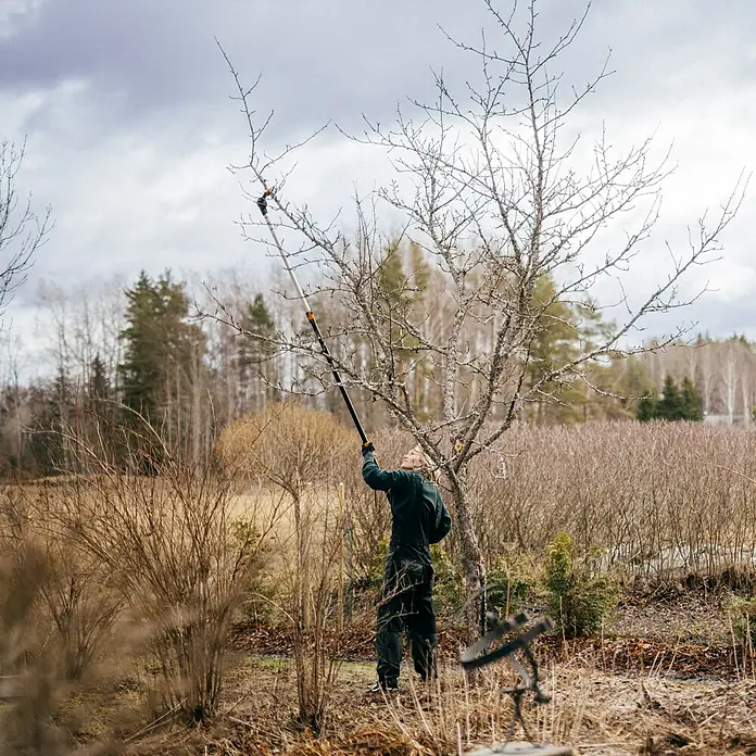 Fiskars Teleskop-Schneidgiraffe UPX86 - Max. Aststärke: 32 mm - Ein Mann schneidet mit einer Baumsäge einen Baum im Garten, um ihn zu pflegen und das Wachstum zu fördern. Werkzeug für die Baumpflege im Einsatz.