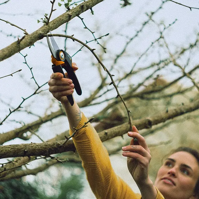 Fiskars X-series Gartenschere P961 - Bypass, Max. Aststärke: 26 mm - Frau benutzt eine Fiskars Gartenschere, um Äste zu schneiden. Präzise Schnitte für einen gesunden Garten mit Fiskars Gartenscheren!