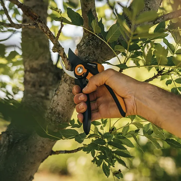 Fiskars Plus Gartenschere P541 - Bypass, Max. Aststärke: 24 mm - Eine Hand hält eine Fiskars Gartenschere, um einen Ast an einem Baum zu schneiden. Die Schere hat ein orangefarbenes Griffstück.