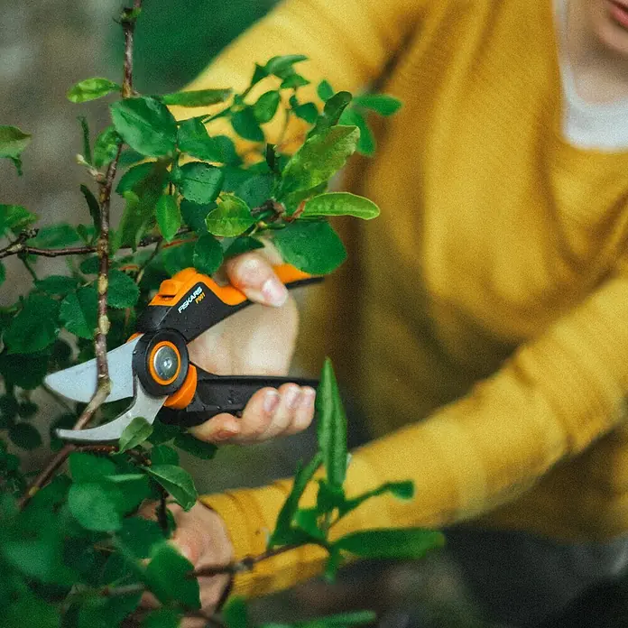 Fiskars X-series Gartenschere P961 - Bypass, Max. Aststärke: 26 mm - Nahaufnahme einer Person mit gelbem Pullover, die mit einer Fiskars-Gartenschere einen Busch beschneidet.