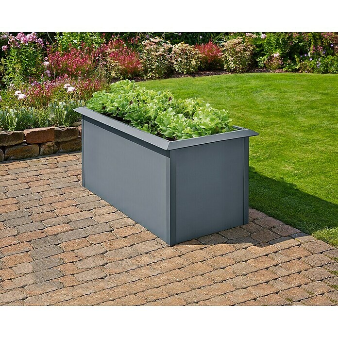 Gardol Hochbeet doppelwandig (150 x 70 x 76 cm, Stahl, Anthrazit) | BAUHAUS
