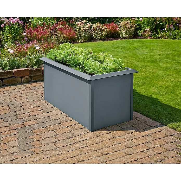 Gardol Hochbeet doppelwandig - 150 x 70 x 76 cm, Stahl, Anthrazit - Ein grauer, rechteckiger Pflanzkasten aus Metall, bepflanzt mit grünen Salatköpfen, steht auf einer Terrasse im Garten.