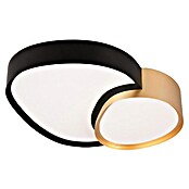 Trio Leuchten LED stropna svetilka Rise  (43,5 x 36 x 11,5 cm, 21 W, 2.700 K - 6.500 K, Črna/Zlata) | 3016 - Deckenleuchte | CACB - Deckenleuchten | CAC - Indoorleuchten | CA - Beleuchtung | C - Elektro | BAUHAUS