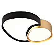 Trio Leuchten LED stropna svetilka Rise  (43,5 x 36 x 11,5 cm, 21 W, 2.700 K - 6.500 K, Črna/Zlata) | 3016 - Deckenleuchte | CACB - Deckenleuchten | CAC - Indoorleuchten | CA - Beleuchtung | C - Elektro | BAUHAUS