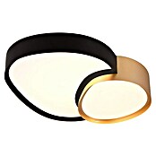 Trio Leuchten LED stropna svetilka Rise  (43,5 x 36 x 11,5 cm, 21 W, 2.700 K - 6.500 K, Črna/Zlata) | 3016 - Deckenleuchte | CACB - Deckenleuchten | CAC - Indoorleuchten | CA - Beleuchtung | C - Elektro | BAUHAUS
