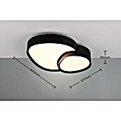 Trio Leuchten LED stropna svjetiljka Rise  (43,5 x 36 x 11,5 cm, 21 W, 2.700 K - 6.500 K, Crna) | BAUHAUS