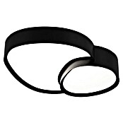 Trio Leuchten LED stropna svjetiljka Rise  (43,5 x 36 x 11,5 cm, 21 W, 2.700 K - 6.500 K, Crna) | BAUHAUS