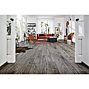 LOGOCLIC Aquaprotect Laminat Night Oak (Night Oak, Landhausdiele, 1 288 x 195 x 8 mm) | BAUHAUS
