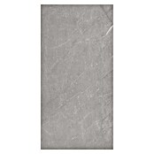 Wandpaneel Monreale Grey (120 x 60 x 1,6 cm, Monreale Grey, 4 st., Dikte: 4 mm) | BAUHAUS