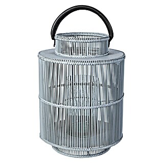 Farolillo alto (Altura: 43 cm, Gris)