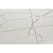 Wandpaneel Pietra Santa White (120 x 60 x 1,6 cm, Pietra Santa White, 4 st., Dikte: 4 mm) | BAUHAUS