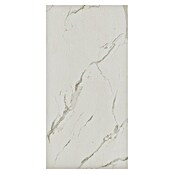Wandpaneel Pietra Santa White (120 x 60 x 1,6 cm, Pietra Santa White, 4 st., Dikte: 4 mm) | BAUHAUS