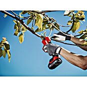 Skil PWRCore 20V Accu-snoeischaar + Gratis Accu Compressor (20 V, Li-ion, Excl. accu, Max. takdikte: 28 mm) | BAUHAUS