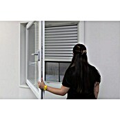 Schellenberg Mosquitera (75 cm - 142 cm, Inserción, Color bastidor: Antracita) | BAUHAUS