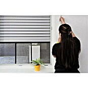 Schellenberg Mosquitera (75 cm - 142 cm, Inserción, Color bastidor: Antracita) | BAUHAUS