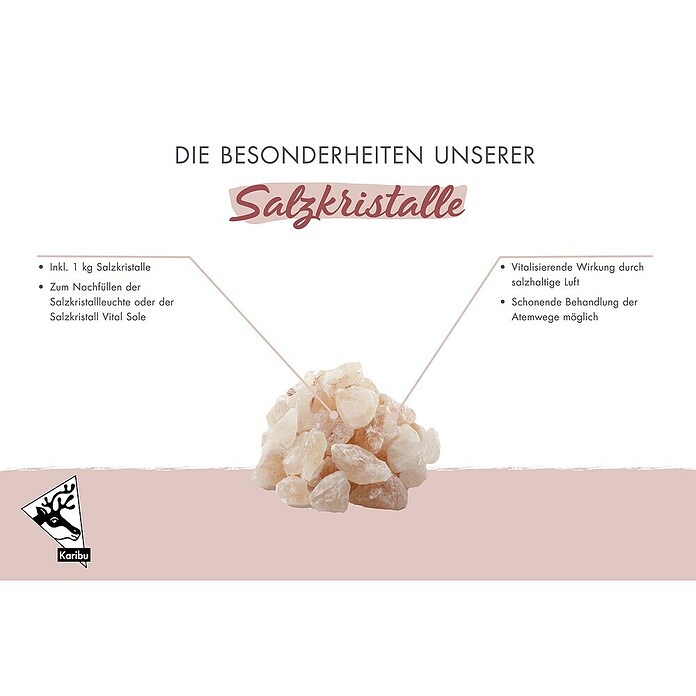 SALZKRISTALLE 1kg SALZ