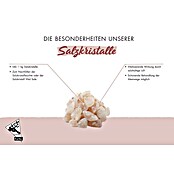 SALZKRISTALLE 1kg SALZ