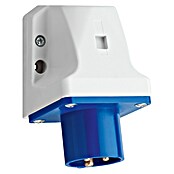 Steffen CEE-Wandstecker 16A (Polanzahl: 3 Stk., 230 V) | BAUHAUS