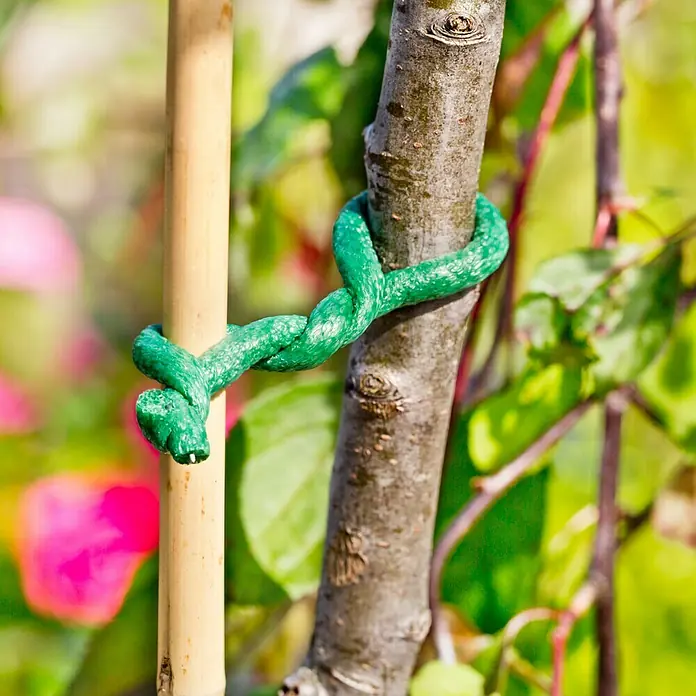 Gardol Baumbinder - Ø x L: 8 mm x 10 m, Geschäumt - Das grüne Bindeband sichert einen jungen Baum an einem Bambusstab, um gerades Wachstum zu fördern. Ideal für Garten- und Landschaftsbauprojekte.