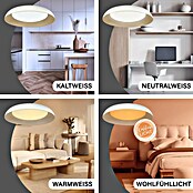 MegaLight LED-Deckenleuchte rund Shining Bowl (24 W, Ø x H: 49 x 9,5 cm, Cappuccino/Weiß, Warmweiß) | BAUHAUS