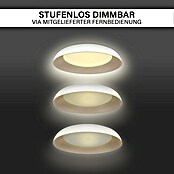 MegaLight LED-Deckenleuchte rund Shining Bowl (24 W, Ø x H: 49 x 9,5 cm, Cappuccino/Weiß, Warmweiß) | BAUHAUS