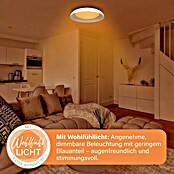 MegaLight LED-Deckenleuchte rund Shining Bowl (24 W, Ø x H: 49 x 9,5 cm, Cappuccino/Weiß, Warmweiß) | BAUHAUS