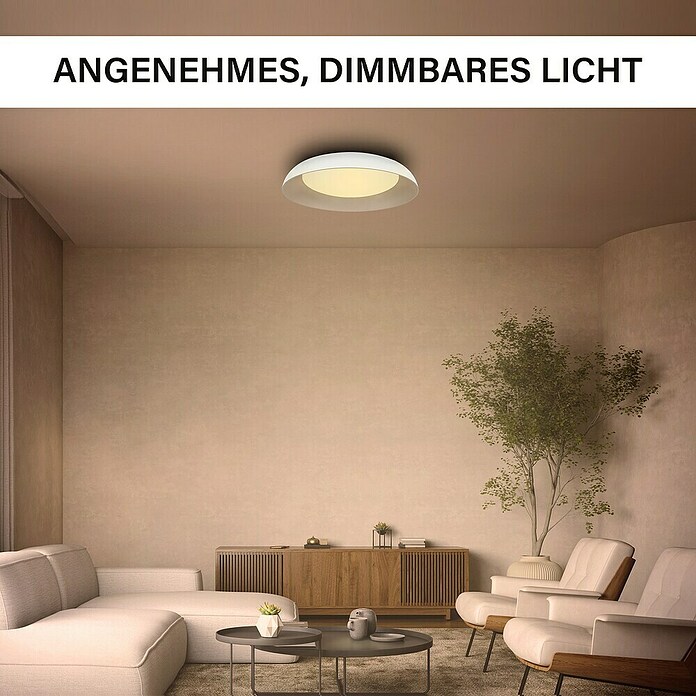 MegaLight LED-Deckenleuchte rund Shining Bowl (24 W, Ø x H: 49 x 9,5 cm, Cappuccino/Weiß, Warmweiß) | BAUHAUS
