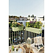 Lechuza Color Žardinjera za balkon Balconera  (Maks. vanjska dužina: 50 cm, Plastika, Zelena) | BAUHAUS