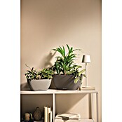 Lechuza Pflanzschale Navio (L x B x H: 13,5 x 29 x 14 cm, Kunststoff, Sandbraun) | BAUHAUS