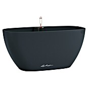 Lechuza Oglata posoda za rastline Navio  (Zunanje dimenzije (Do x Š x V): 39 x 19 x 18,3 cm, Plastika, Antracit) | 8441 - Übertöpfe Kunststoff | IAKA - Gefäße Indoor | IAK - Gefässe,Deko outdoor, Zeitschriften | IA - Gartenhartware | I - Stadtgarten | BAUHAUS