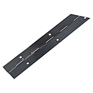 Bisagra de piano (1.200 x 32 mm, Bruñido, Acero)