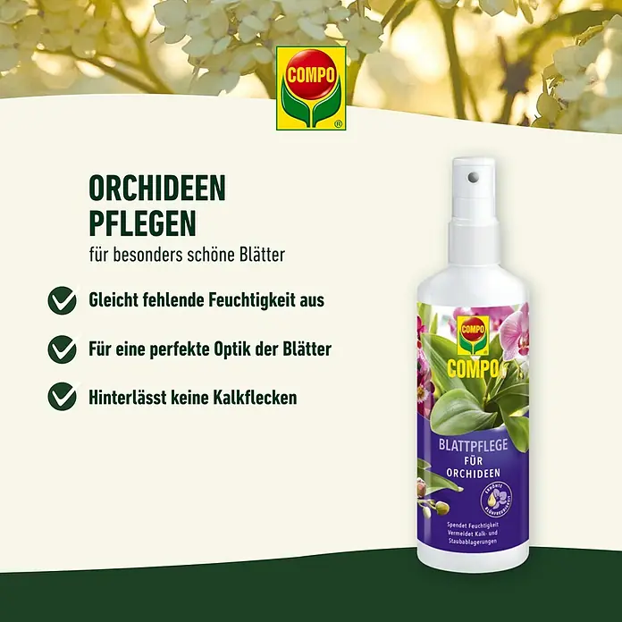 Compo Blattglanz - 250 ml, Orchideen - COMPO Orchideenpflegespray für gesunde, schöne Orchideenblätter. Es gleicht Feuchtigkeit aus, sorgt für perfekte Optik und hinterlässt keine Kalkflecken.