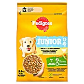 Pedigree Droogvoer voor honden Junior (2,6 kg) | BAUHAUS