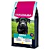 Eukanuba Droogvoer voor honden Adult kip 