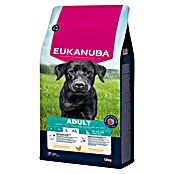 Eukanuba Droogvoer voor honden Adult kip (12 kg) | BAUHAUS