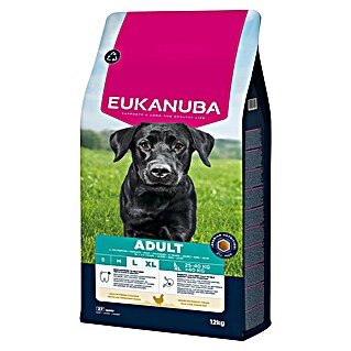 Eukanuba Droogvoer voor honden Adult kip (12 kg)