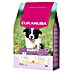 Eukanuba Droogvoer voor honden Puppy M - kip 