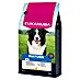 Eukanuba Droogvoer voor honden Mature M - kip 