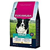 Eukanuba Droogvoer voor honden Adult M - kip (3 kg) | BAUHAUS