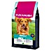 Eukanuba Droogvoer voor honden L/XL 