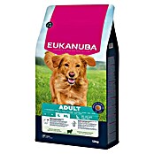 Eukanuba Droogvoer voor honden L/XL (12 kg) | BAUHAUS