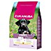 Eukanuba Droogvoer voor honden Puppy L/XL - kip 