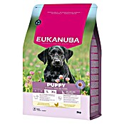 Eukanuba Droogvoer voor honden Puppy L/XL - kip (3 kg) | BAUHAUS