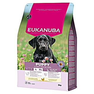 Eukanuba Droogvoer voor honden Puppy L/XL - kip (3 kg)
