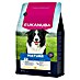 Eukanuba Droogvoer voor honden Mature kip 