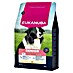 Eukanuba Droogvoer voor honden Senior M - kip 
