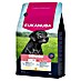 Eukanuba Droogvoer voor honden L/XL - kip 