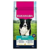 2x10kg Josera JosiCat Kitten Gevogelte droogvoer voor katten | De