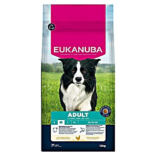Eukanuba Droogvoer voor honden (12 kg)