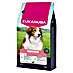 Eukanuba Droogvoer voor honden Senior lam+rijst 